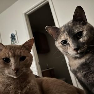 Meet your Posher, Sergio